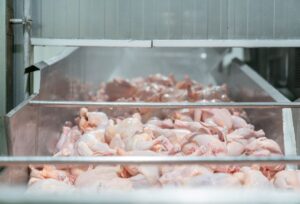 Frozen whole chicken stored in a home freezer